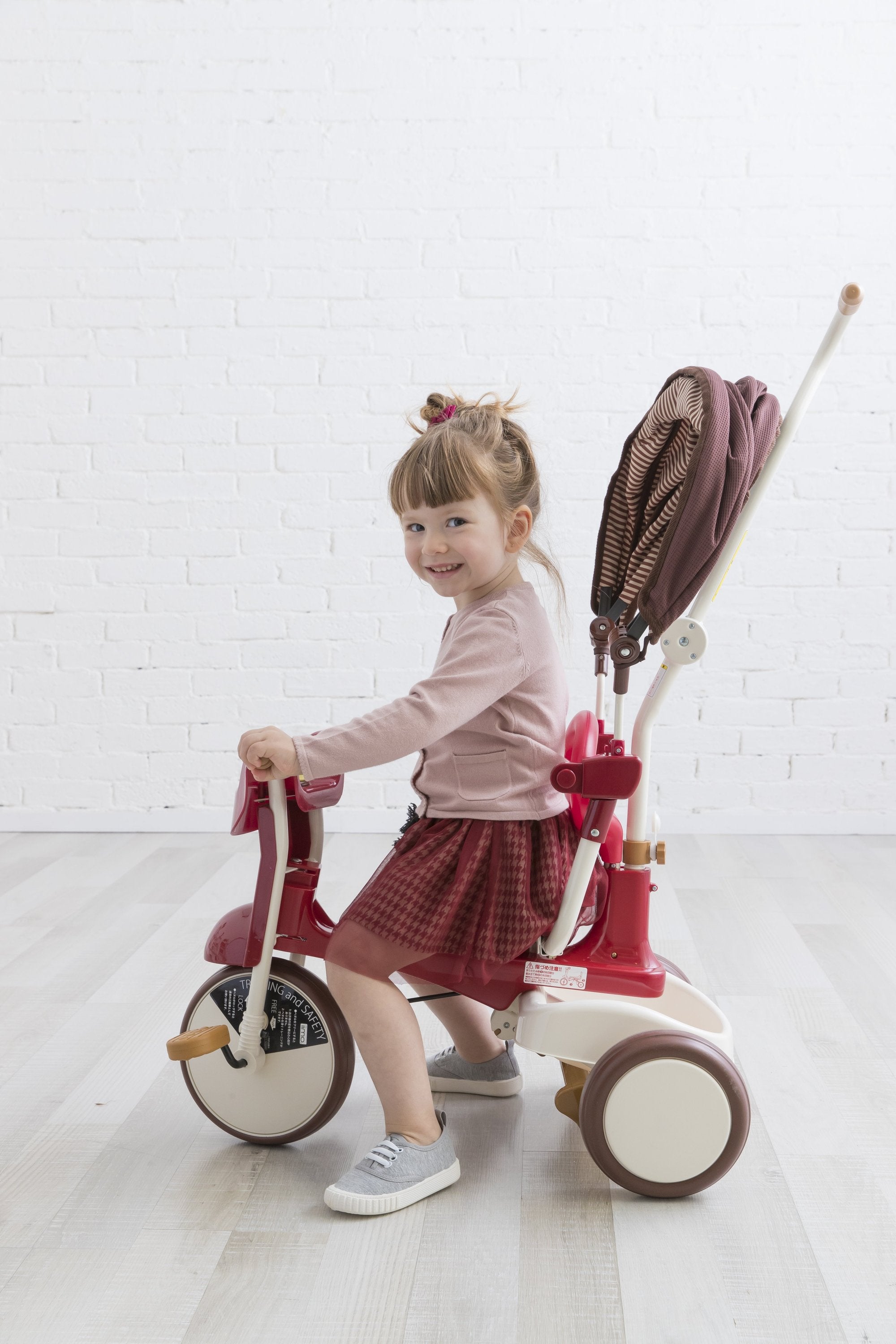 iimo 3-in-1 Foldable Tricycle with Canopy – havenhillcollection