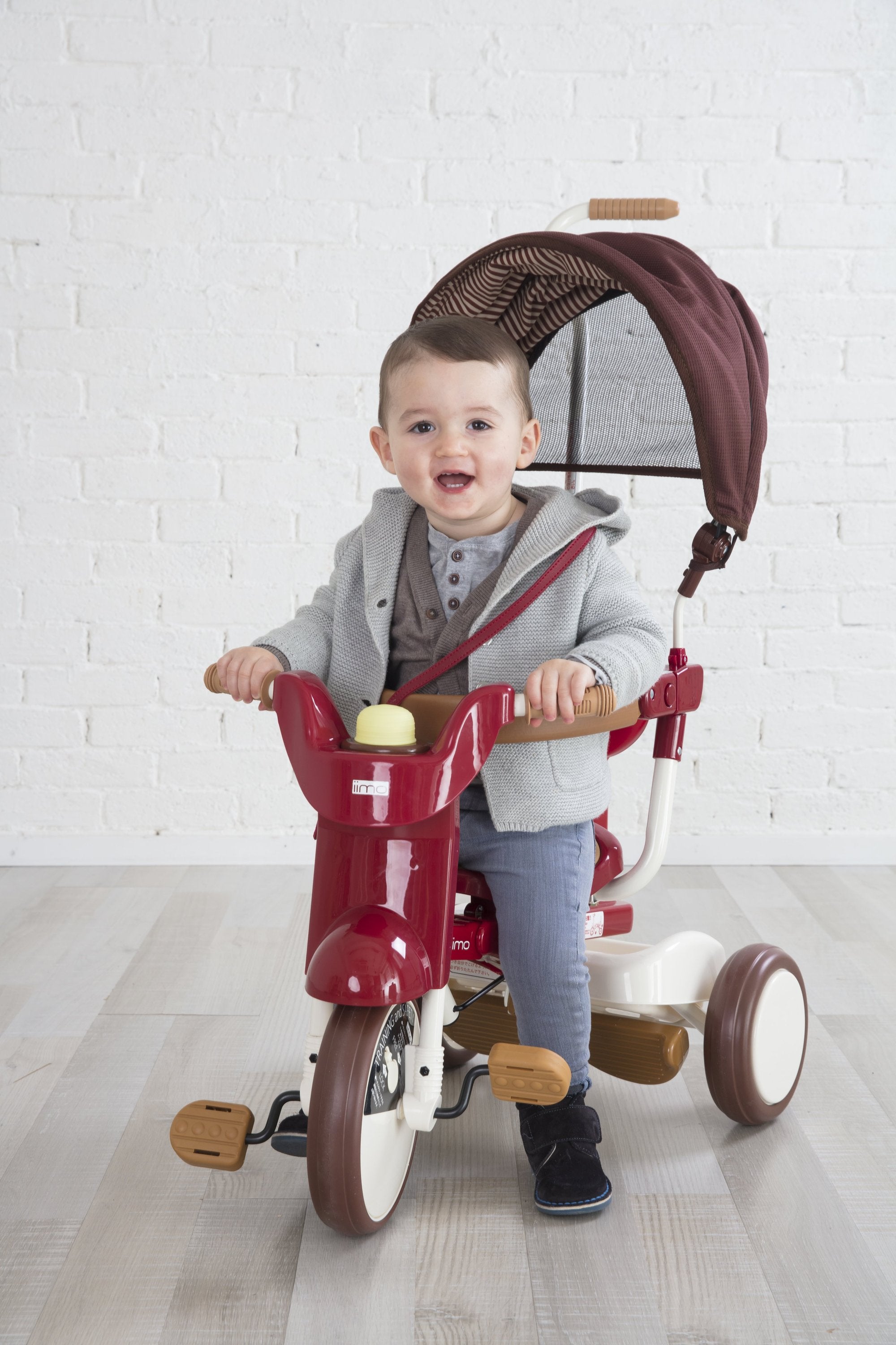 iimo 3-in-1 Foldable Tricycle with Canopy – havenhillcollection