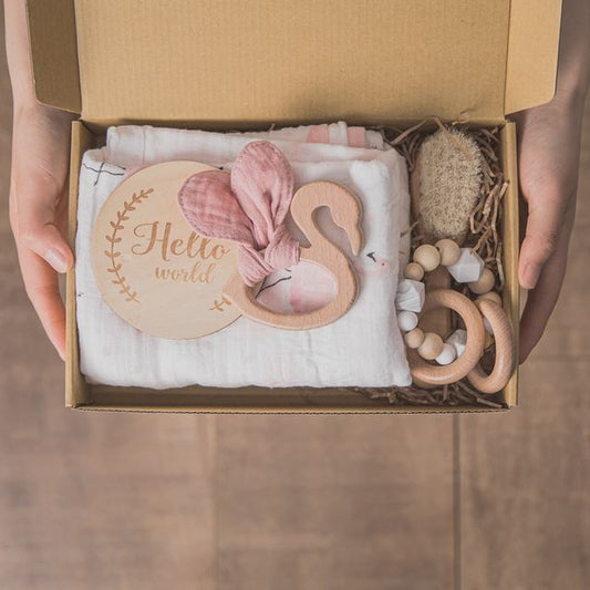 Hello World Newborn Baby Animal Rattle Gift Box